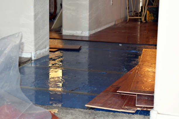 Professional Flood Damage Repair technician working in Port Jefferson Station, NY